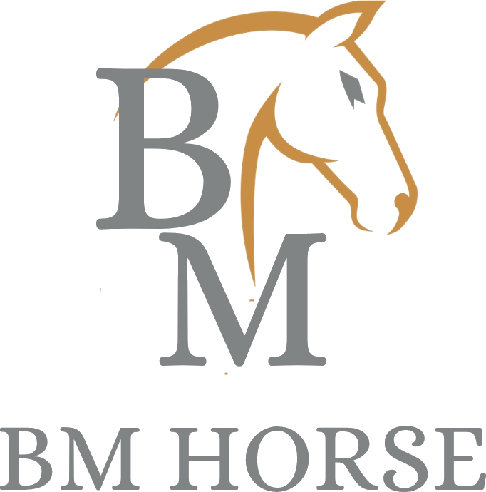 BM Horse Logo